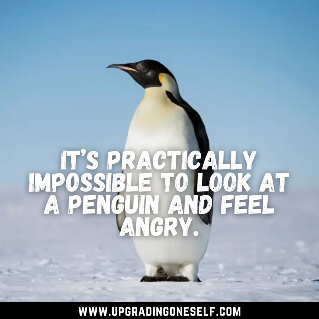 Top 15 Cool Quotes About Penguin That Will Make You Cheerful