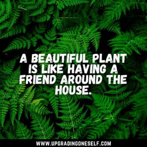 plant sayings