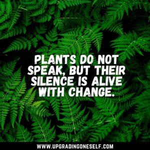 quotes about plant