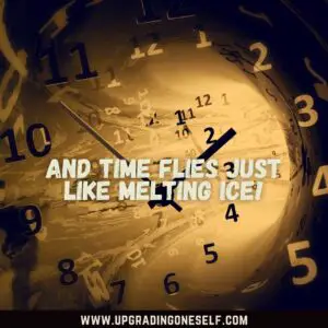 quotes about Time Flies