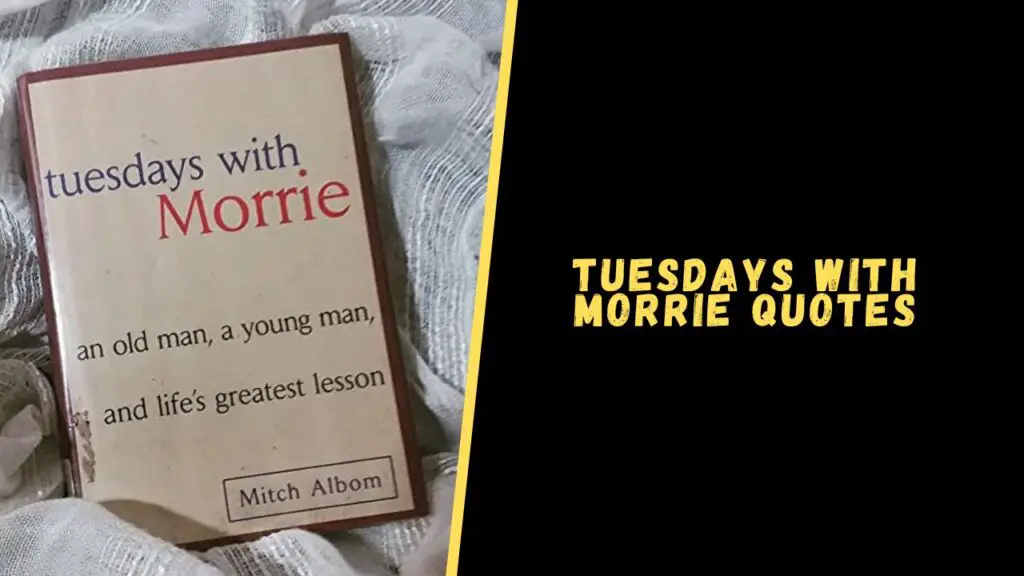 Tuesdays with Morrie quotes