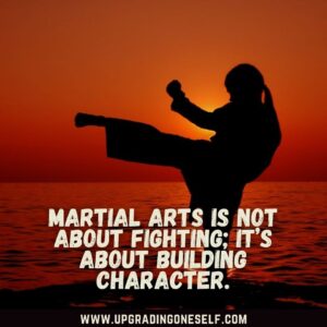 Martial Arts quote