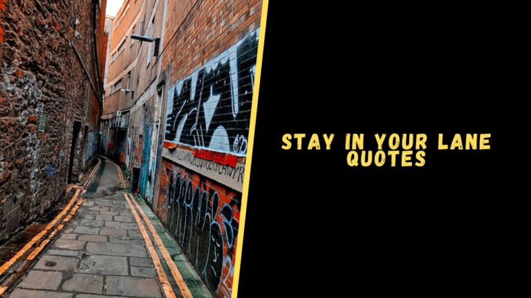 Top 17 Quotes About Stay In Your Lane For Motivation   Stay In Your Lane 768x432 