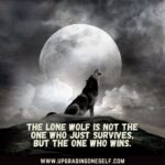 Top 16 Best Quotes About Lone Wolf For A Dose Of Motivation