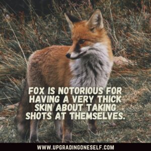 Fox captions