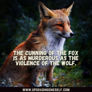 Fox sayings