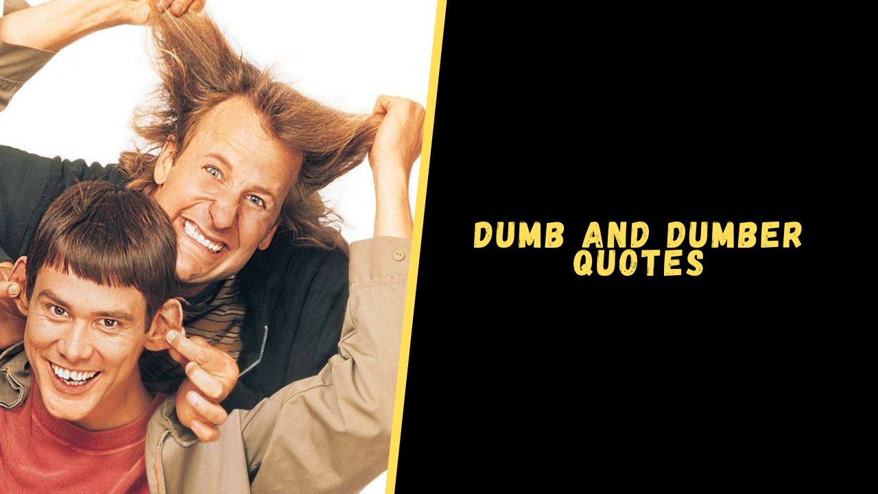 Top 15 Quotes From Dumb And Dumber For A Laughter Dose