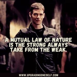Top 25 Most Terrifying Quotes From The Klaus Mikaelson