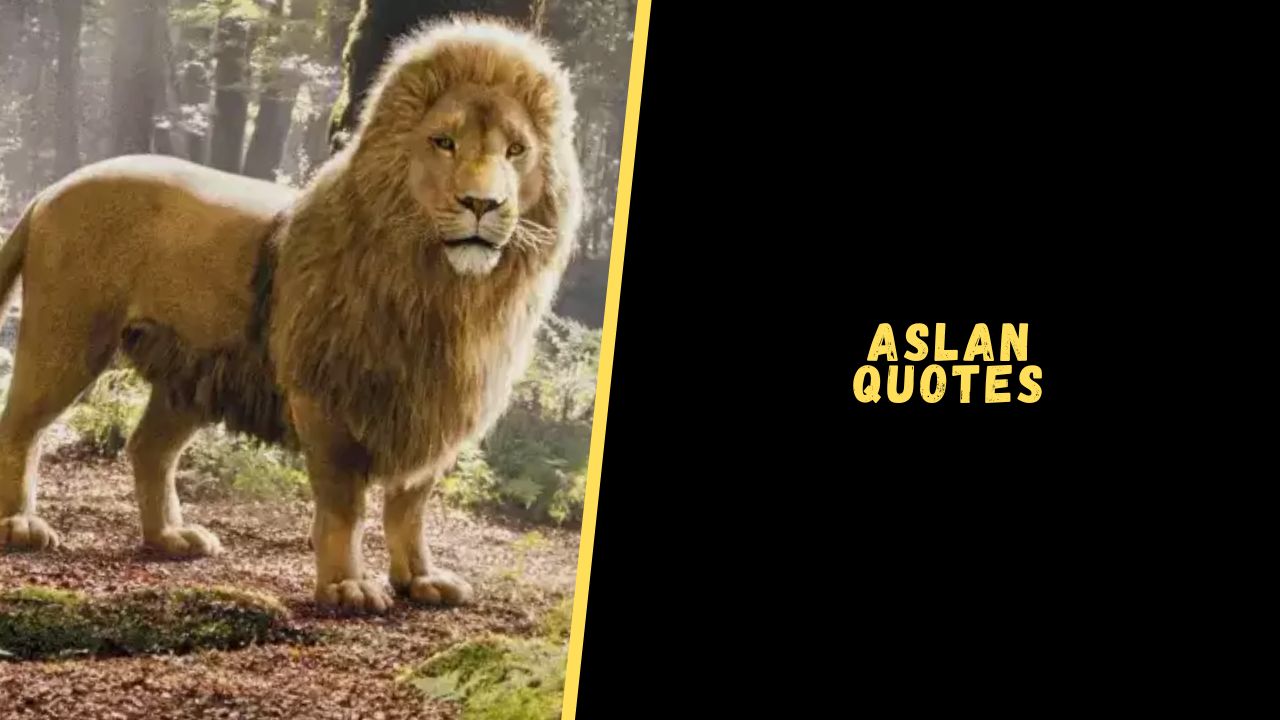 aslan quotes