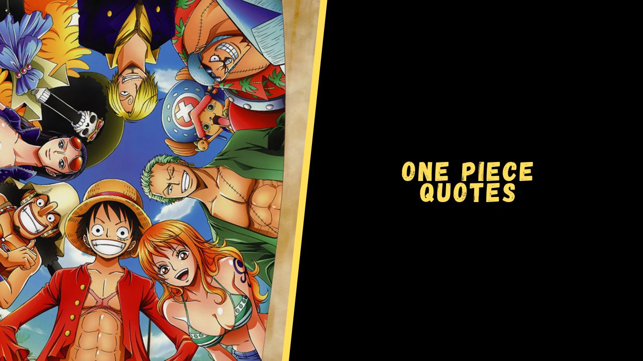 one piece quotes